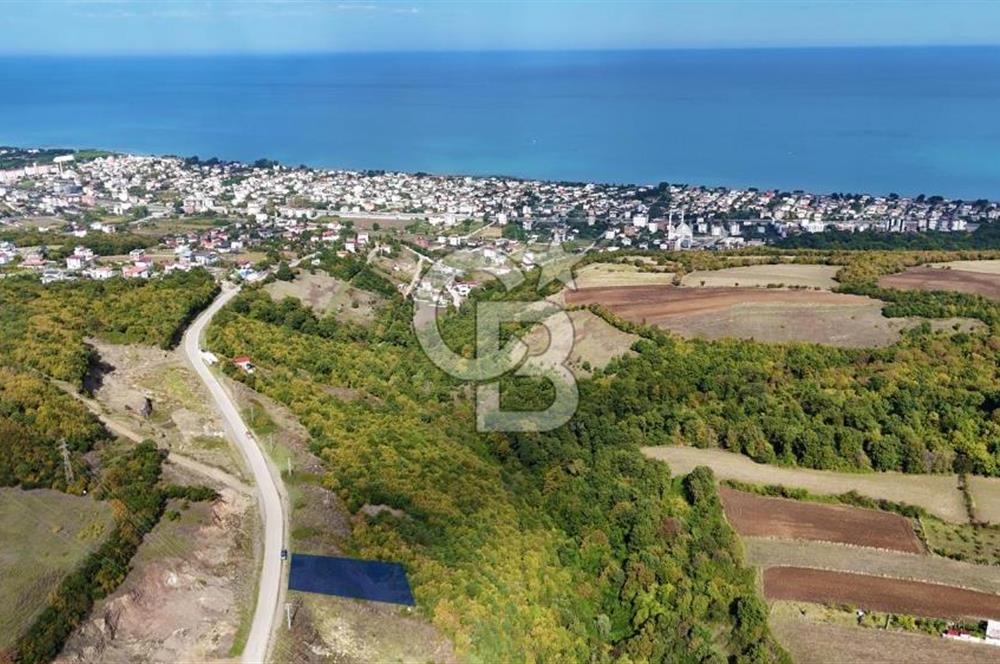 Orman Sınırında Deniz Manzaralı Köşe Parsel