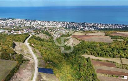 Orman Sınırında Deniz Manzaralı Köşe Parsel