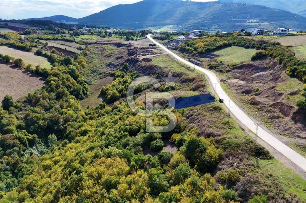 Orman Sınırında Deniz Manzaralı Köşe Parsel