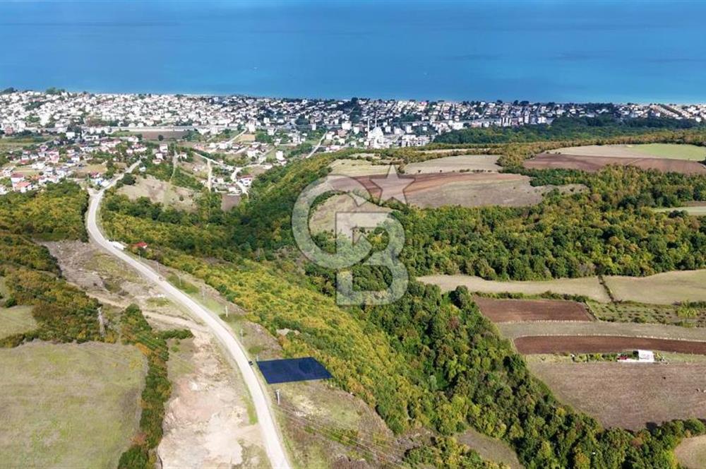 Orman Sınırında Deniz Manzaralı Köşe Parsel