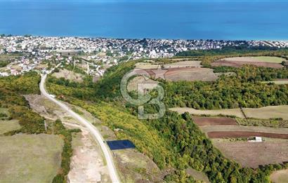 Orman Sınırında Deniz Manzaralı Köşe Parsel