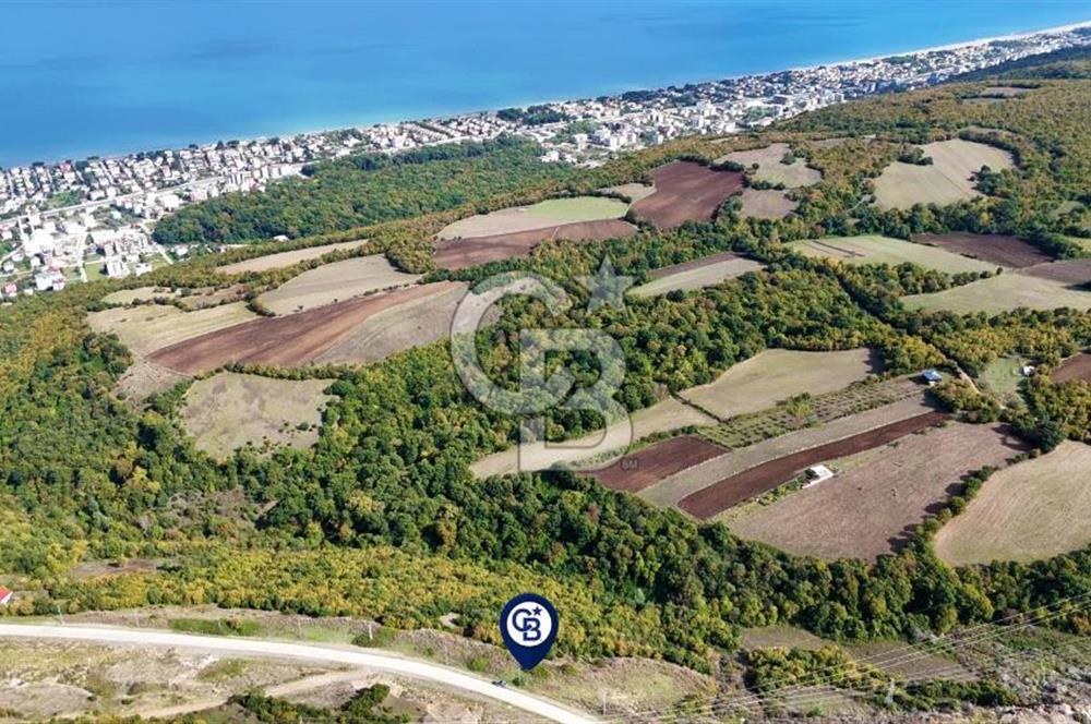 Orman Sınırında Deniz Manzaralı Köşe Parsel