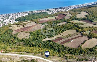 Orman Sınırında Deniz Manzaralı Köşe Parsel