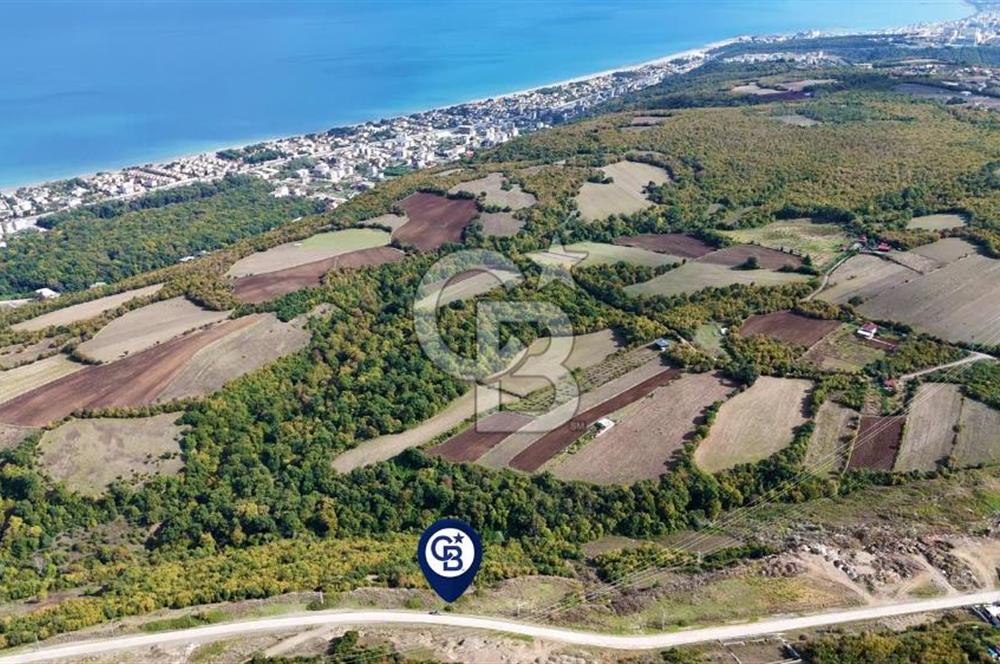 Orman Sınırında Deniz Manzaralı Köşe Parsel