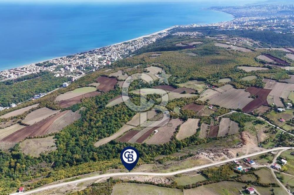 Orman Sınırında Deniz Manzaralı Köşe Parsel