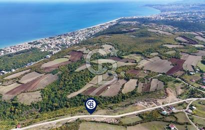 Orman Sınırında Deniz Manzaralı Köşe Parsel