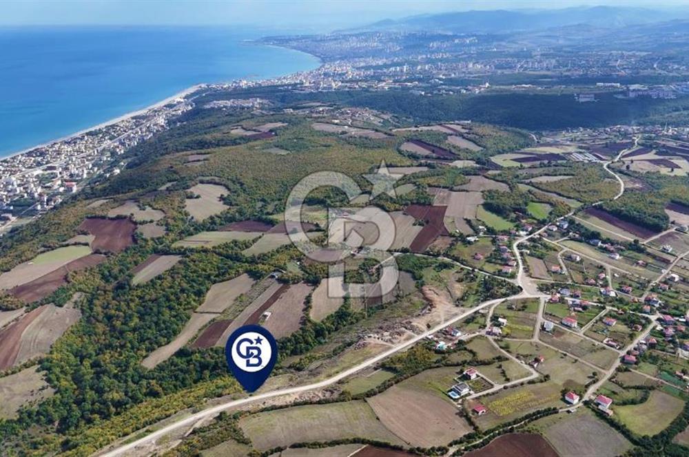 Orman Sınırında Deniz Manzaralı Köşe Parsel
