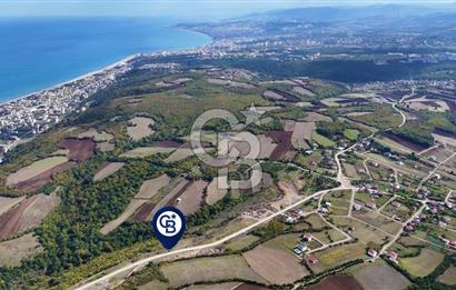 Orman Sınırında Deniz Manzaralı Köşe Parsel