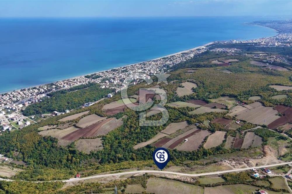 Orman Sınırında Deniz Manzaralı Köşe Parsel