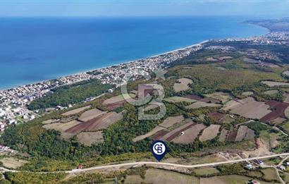 Orman Sınırında Deniz Manzaralı Köşe Parsel