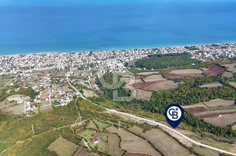 Orman Sınırında Deniz Manzaralı Köşe Parsel