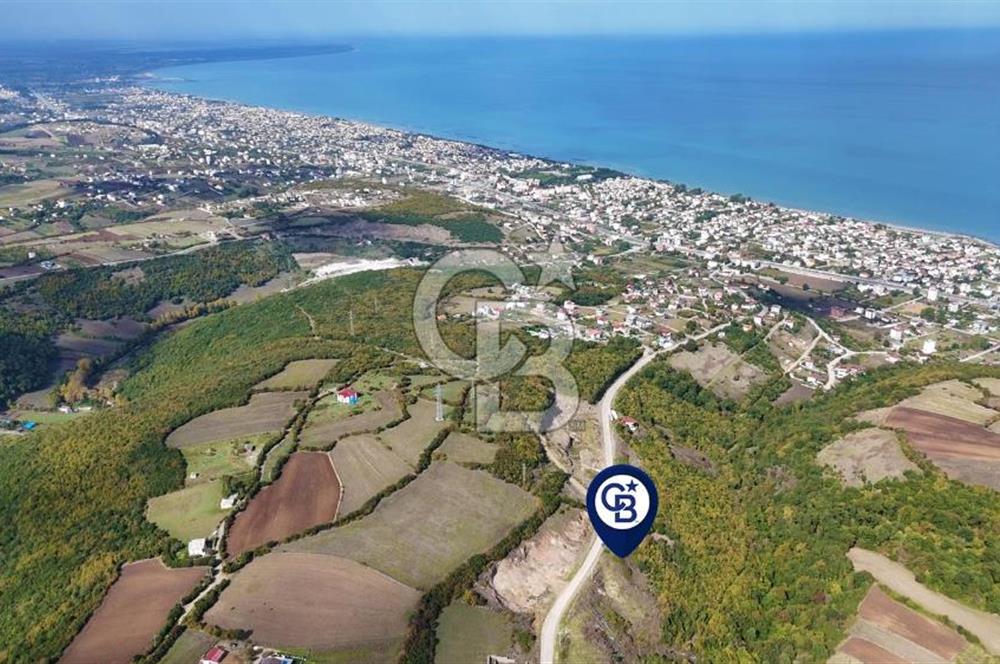 Orman Sınırında Deniz Manzaralı Köşe Parsel