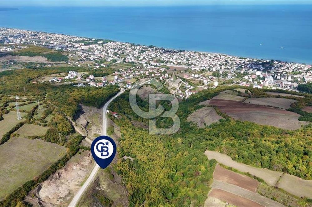 Orman Sınırında Deniz Manzaralı Köşe Parsel