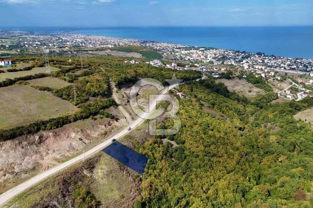 Orman Sınırında Deniz Manzaralı Köşe Parsel
