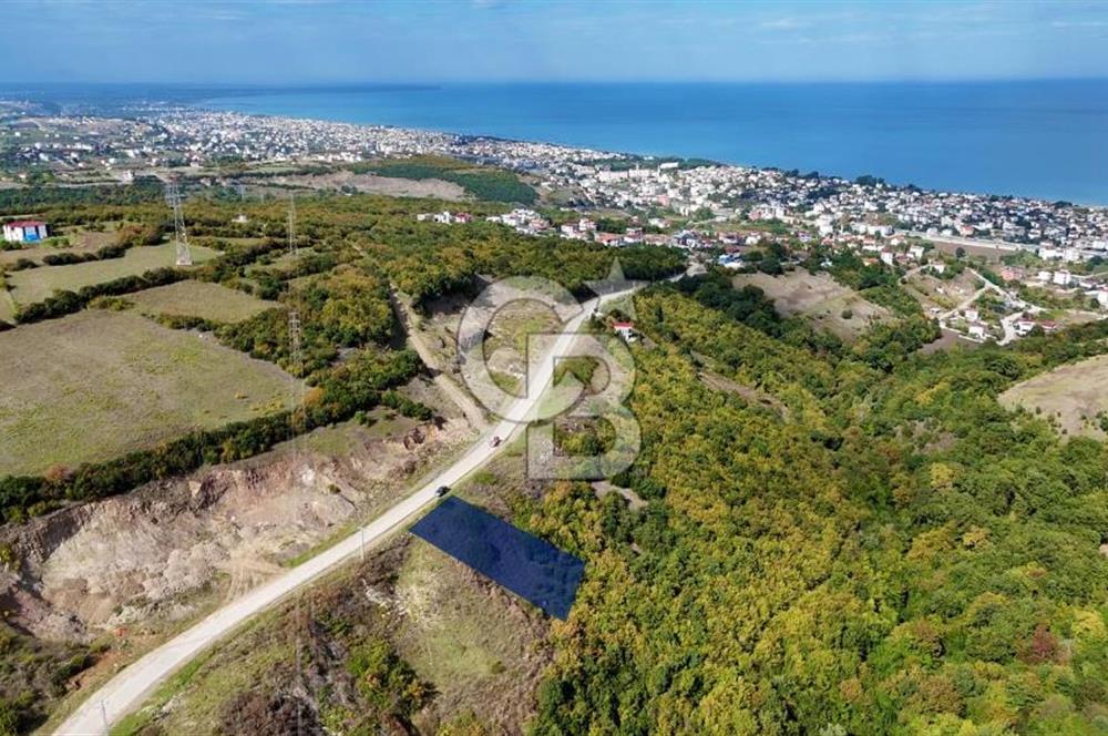 Orman Sınırında Deniz Manzaralı Köşe Parsel