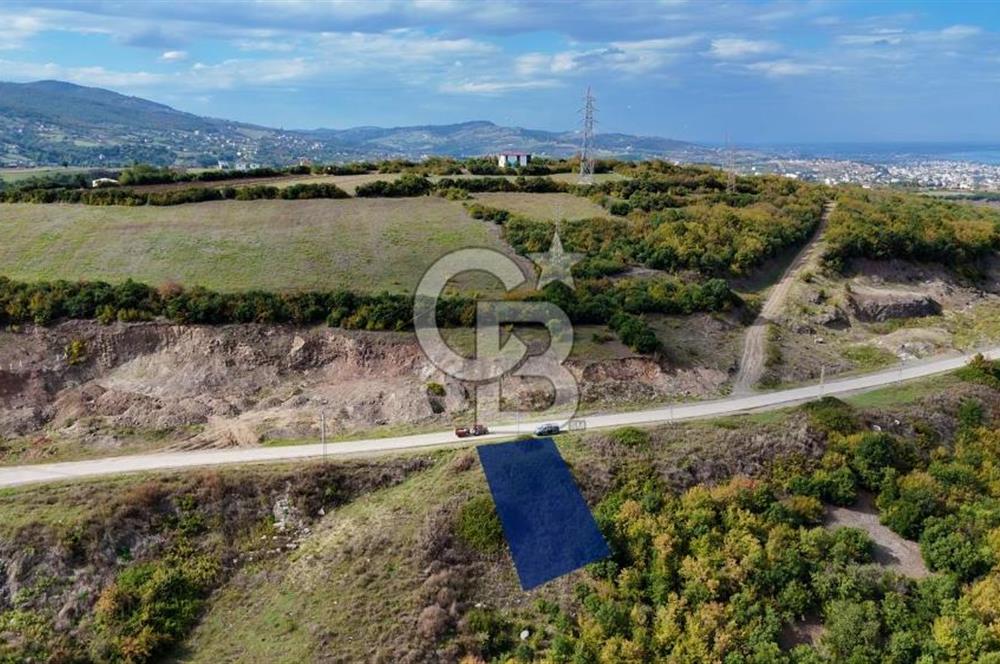 Orman Sınırında Deniz Manzaralı Köşe Parsel