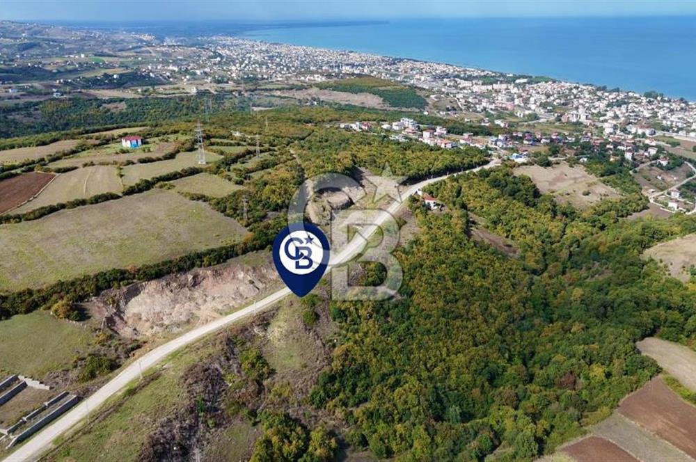 Orman Sınırında Deniz Manzaralı Köşe Parsel