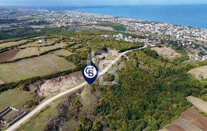 Orman Sınırında Deniz Manzaralı Köşe Parsel