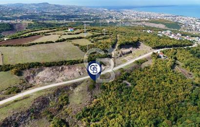 Orman Sınırında Deniz Manzaralı Köşe Parsel