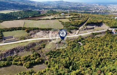 Orman Sınırında Deniz Manzaralı Köşe Parsel