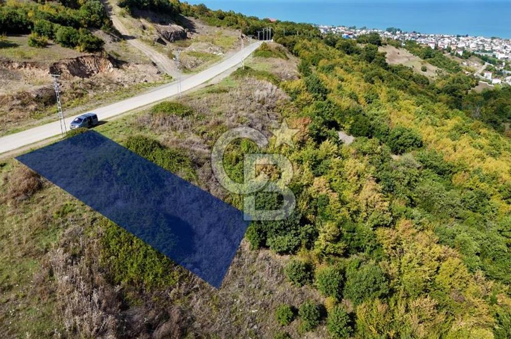 Orman Sınırında Deniz Manzaralı Köşe Parsel