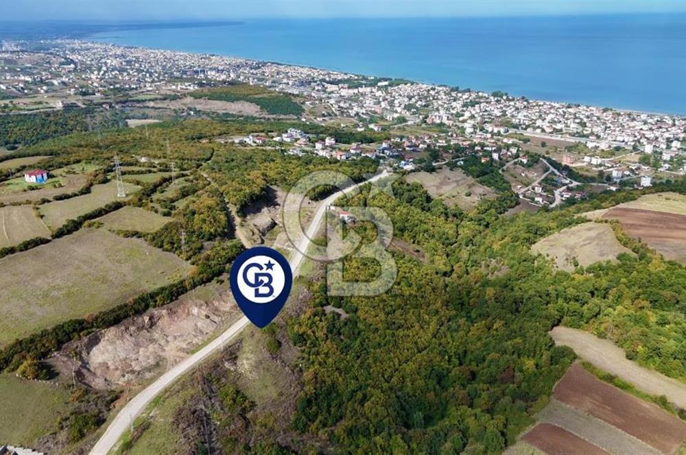 Orman Sınırında Deniz Manzaralı Köşe Parsel