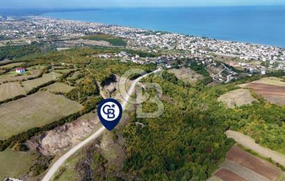 Orman Sınırında Deniz Manzaralı Köşe Parsel