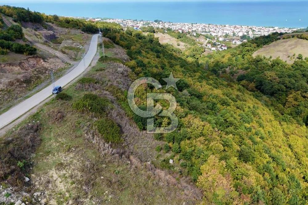 Orman Sınırında Deniz Manzaralı Köşe Parsel
