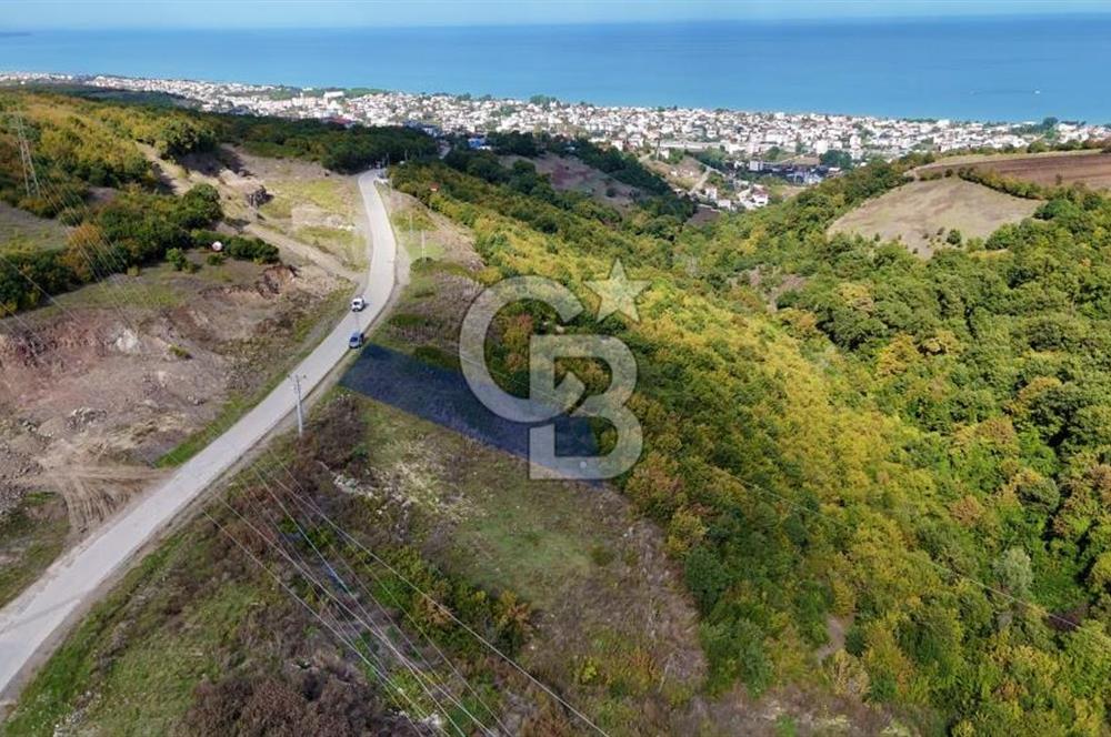 Orman Sınırında Deniz Manzaralı Köşe Parsel