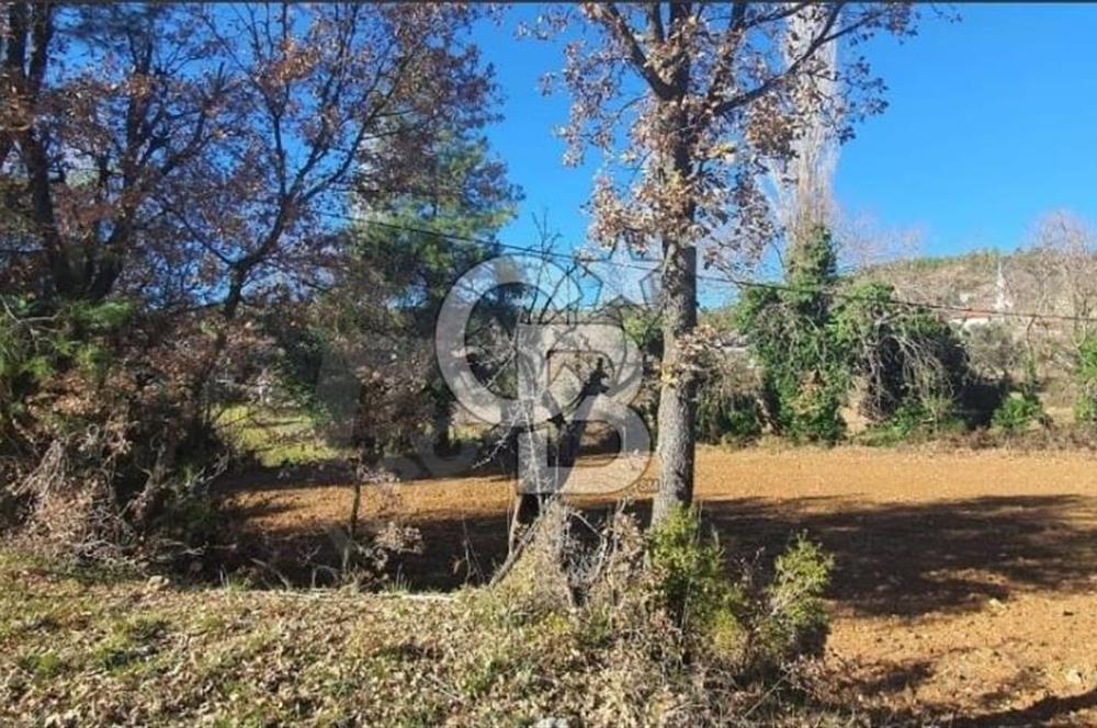 Muğla Menteşe Algı Mahallesinde Satılık İmarlı Arsa 