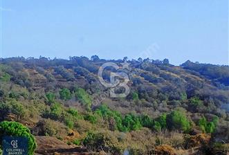 BERGAMA SARICALARDA 8579 m2 SATILIK TARLA