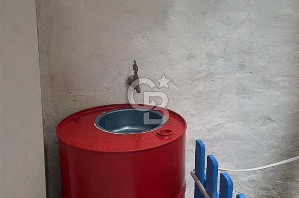 Molla Güranide 1+1 yenilenmiş satılık bahçe katı 