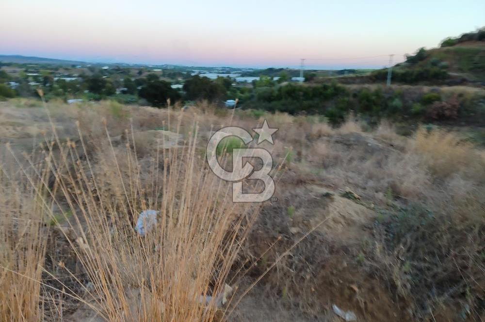 Karaözde satılık 1275 m2 tarla