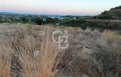 Karaözde satılık 1275 m2 tarla
