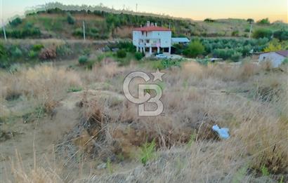 Karaözde satılık 1275 m2 tarla