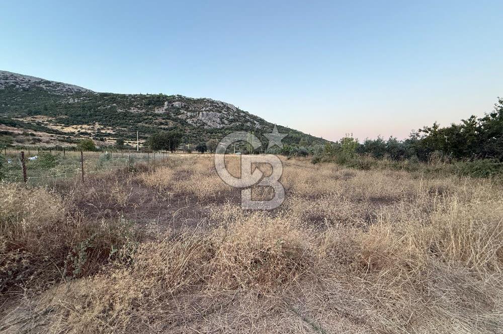 Muğla Menteşe yenice de imar sınırında satılık tarla