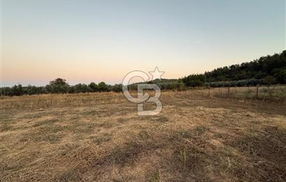 Muğla Menteşe yenice de imar sınırında satılık tarla