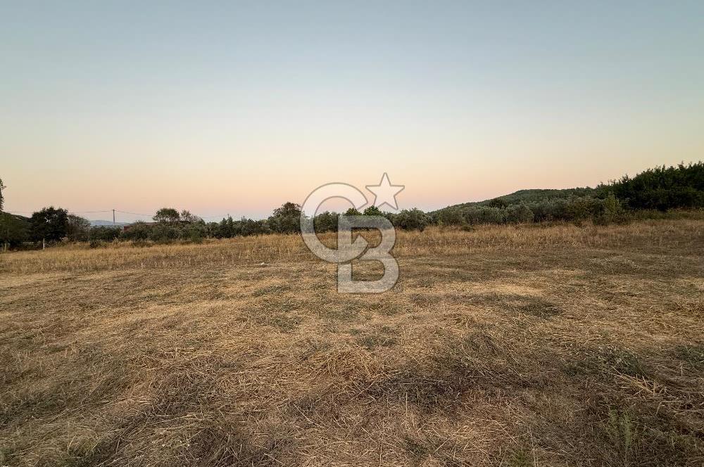 Muğla Menteşe yenice de imar sınırında satılık tarla