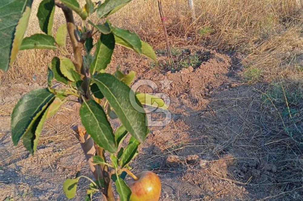 KAHRAMANKAZAN AKÇAÖREN' DE SATILIK TARLA HİSSESİ