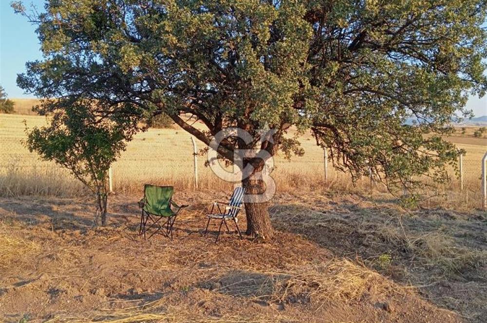 KAHRAMANKAZAN AKÇAÖREN' DE SATILIK TARLA HİSSESİ