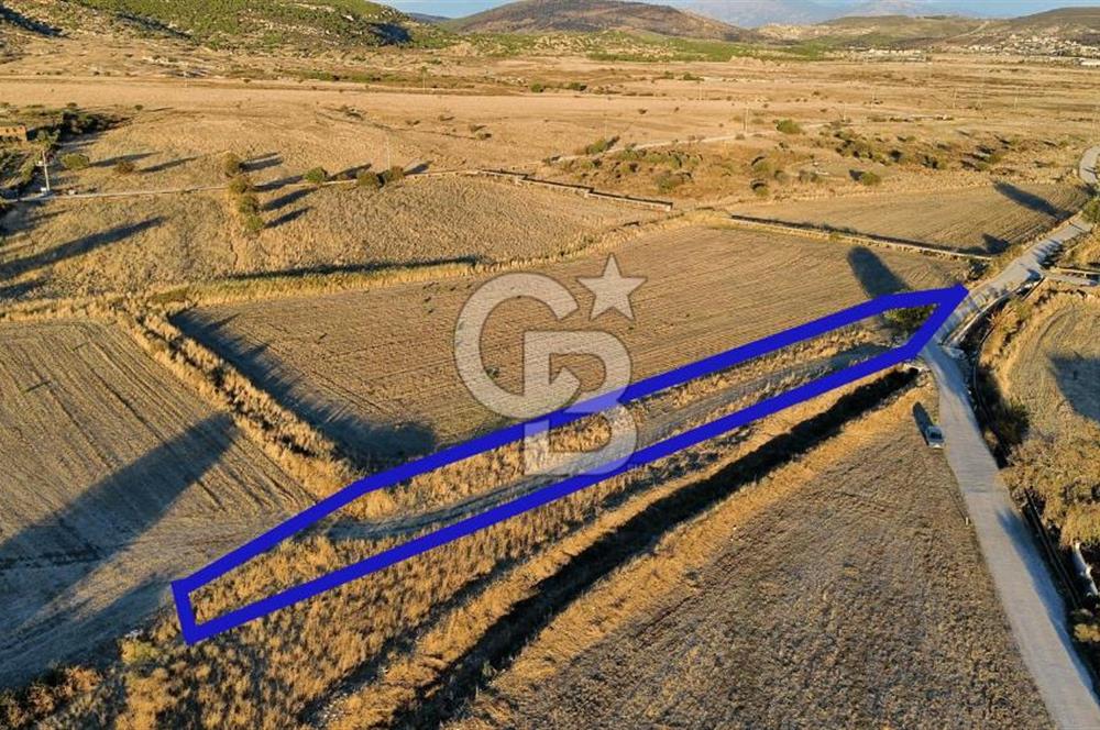 Foça Bağarası Hacıveli Mah. Satılık Tek Tapulu Tarla