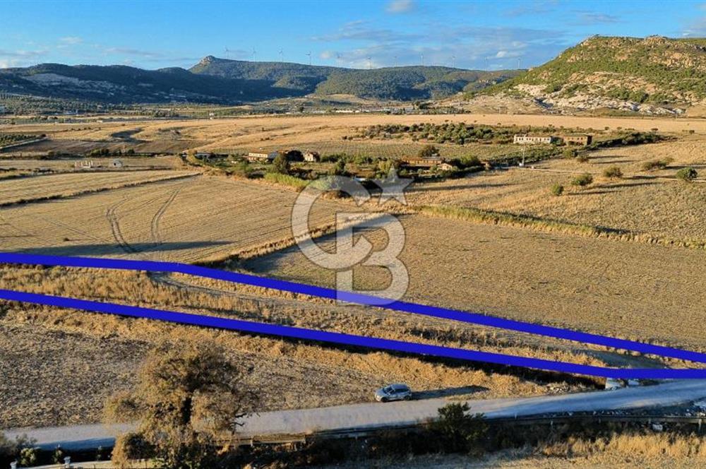 Foça Bağarası Hacıveli Mah. Satılık Tek Tapulu Tarla