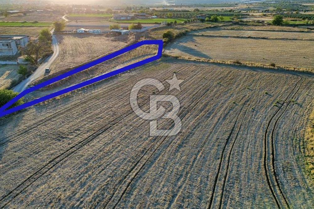 Foça Bağarası Hacıveli Mah. Satılık Tek Tapulu Tarla