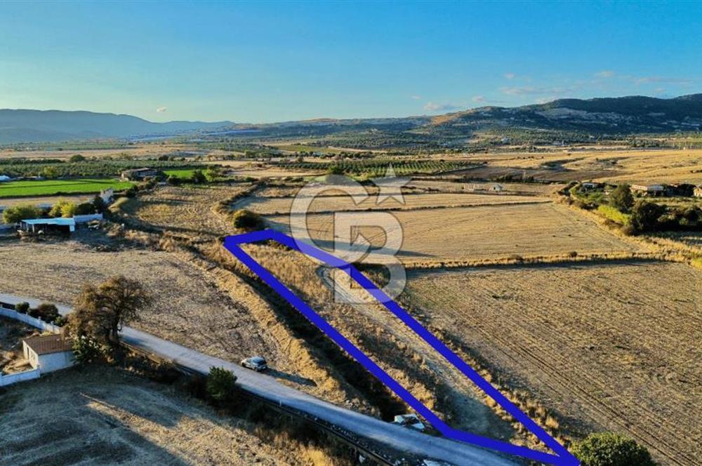 Foça Bağarası Hacıveli Mah. Satılık Tek Tapulu Tarla