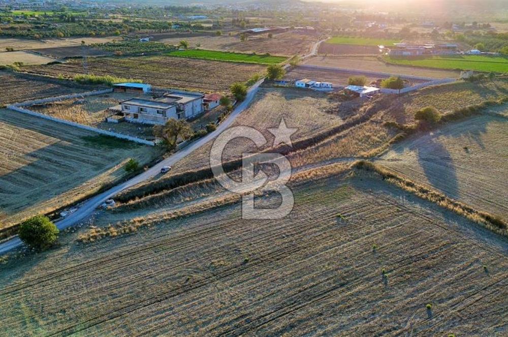 Foça Bağarası Hacıveli Mah. Satılık Tek Tapulu Tarla