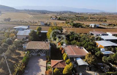 MENDERES OĞLANANASI 1.090 m2 2+1 JAKUZİ HAVUZLU MÜSTAKİL EV