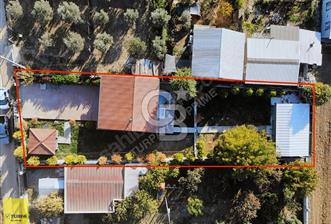 MENDERES OĞLANANASI 1.090 m2 2+1 JAKUZİ HAVUZLU MÜSTAKİL EV