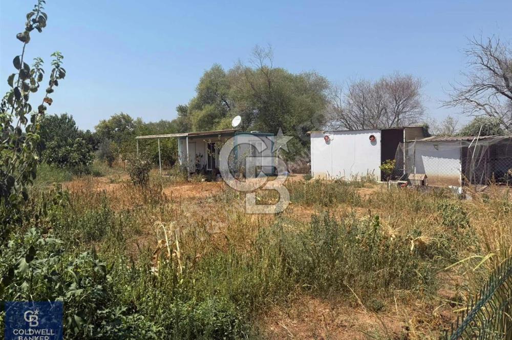 MENDERES OĞLANANASI 2.500 m2 ARSA İÇERİSİNDE 2+1 ve 3+1 