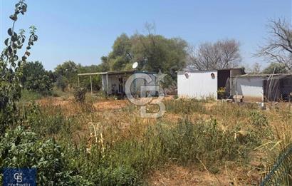 MENDERES OĞLANANASI 2.500 m2 ARSA İÇERİSİNDE 2+1 ve 3+1 