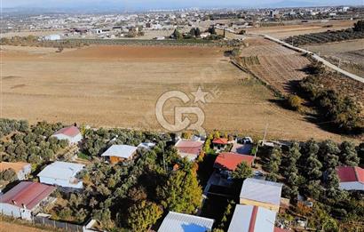 MENDERES OĞLANANASI 1.090 m2 2+1 JAKUZİ HAVUZLU MÜSTAKİL EV